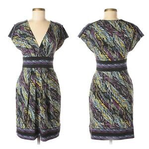 BCBGMaxAzria Blue & Purple  Multi Feather Print Dress Sz Small